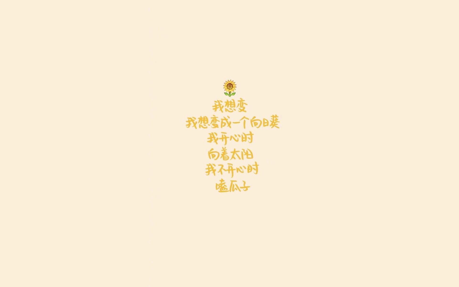 足协启动校园足球联赛计划，校际足球联赛报道