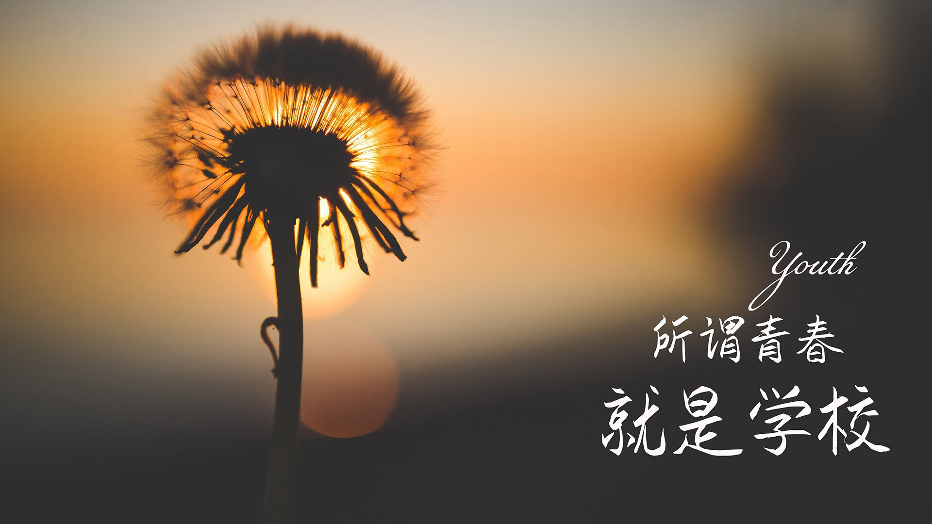 中国男篮注重控球技术 提高进攻效率，中国男篮现役控卫排名