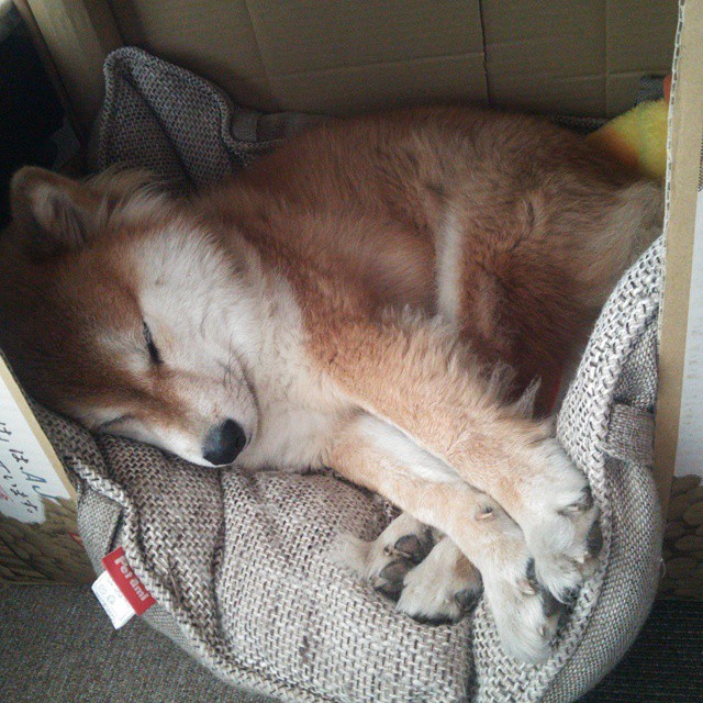 西甲玄妙传球:精彩盘带,助攻不断!,西甲玄妙传球_精彩盘带,助攻不断进球